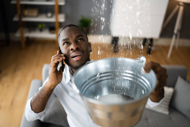 Best Water damage mitigation services  in Wolf Point, MT