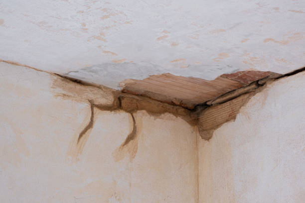  Wolf Point, MT Water damage restoration Pros