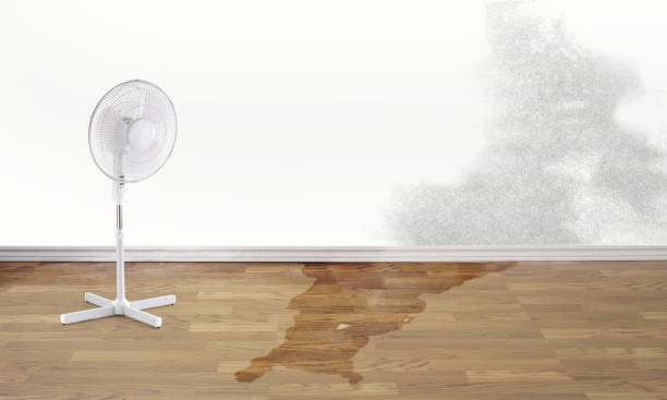 Best Fire Damage Restoration  in Wolf Point, MT