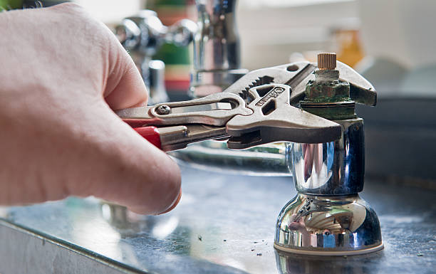 Best Water damage restoration cost  in Wolf Point, MT