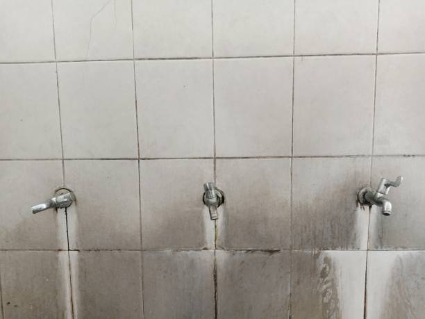 Best Water damage cleanup near me  in Wolf Point, MT