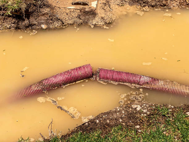 Best Water damage cleanup near me  in Wolf Point, MT