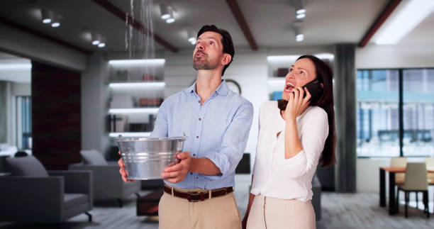 Professional Water damage restoration in MT