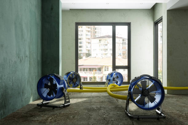 Best Emergency water damage restoration  in Wolf Point, MT